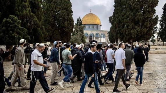 788 مستوطنًا اقتحموا المسجد الأقصى اليوم، من بينهم أحد زعماء جماعات "الهيكل" المزعوم يهودا غليك