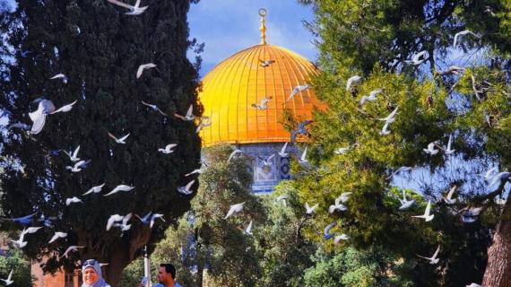 جمال وبهاء.. إطلالة على باحات المسجد الأقصى، اليوم