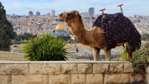القدس المحتلة بعدسة فواز الطوباسي