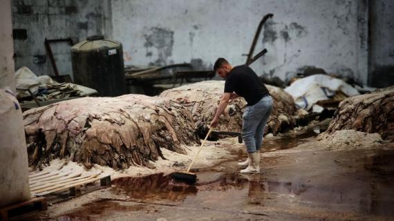 دباغة جلود الأضاحي في مدينة غزة