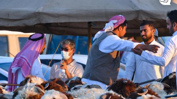 عدسة شهاب ترصد سوق المواشي في تبوك حيث يشهد ازدياد الحركة الشرائية مع قرب حلول عيد الأضحى