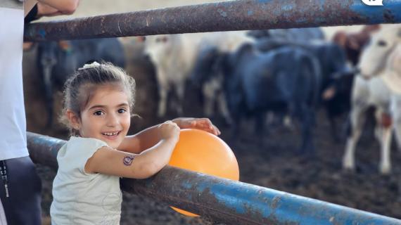 فرحة الأطفال بغزة خلال شراء الأضاحي مع ذويهم قبيل عيد الأضحى المبارك