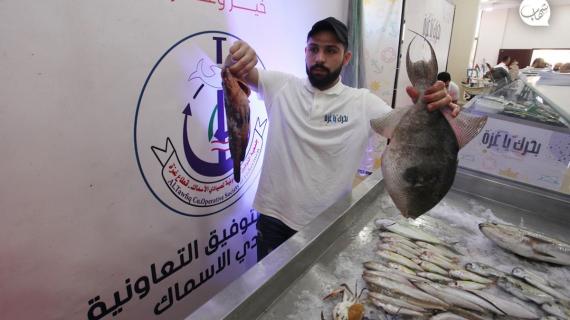 "بحرك يا غزة".. معرض في مدينة غزة لعرض خيرات البحر ووسائل الصيد