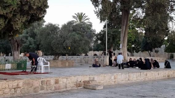 مرابطون يواصلون التواجد في المسجد الأقصى المبارك صباح اليوم