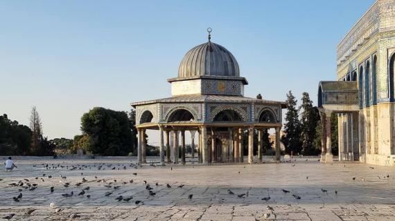 باحات المسجد الأقصى المبارك صباح اليوم
