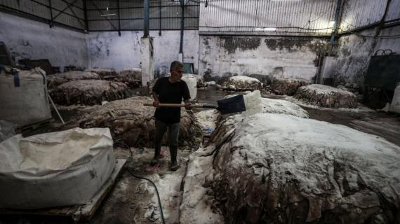 صناعة دباغة جلد الأضاحي في غزة