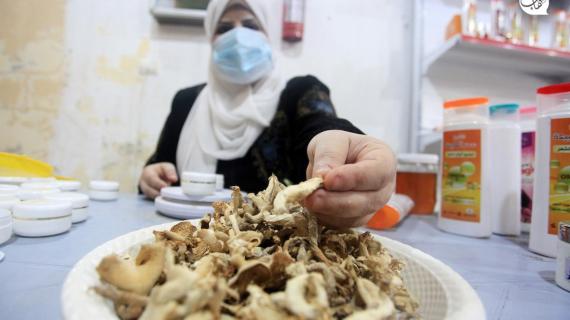 باستخدام الفطر والمواد الطبيعية.. الفلسطينية نغم الغطاس تبدع في صناعة منتجات العناية ومستحضرات التجميل في مدينة غزة