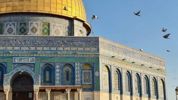 الأجواء من باحات المسجد الأقصى المبارك صباح اليوم