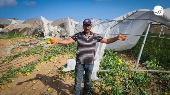 شاهد | في ظل المجاعة التي يعاني منها أهالي غزة.. الاحتلال يقوم بتجريف آخر سلة غذائية لقطاع غزة ويدمر نحو 500 دونم زراعي من الدفيئات الزراعية شمال غرب مدينة رفح والتي تعتبر آخر سلة غذائية للقطاع بعد تراجع الاليات الاسرائيلية من منطقة الشاكوش