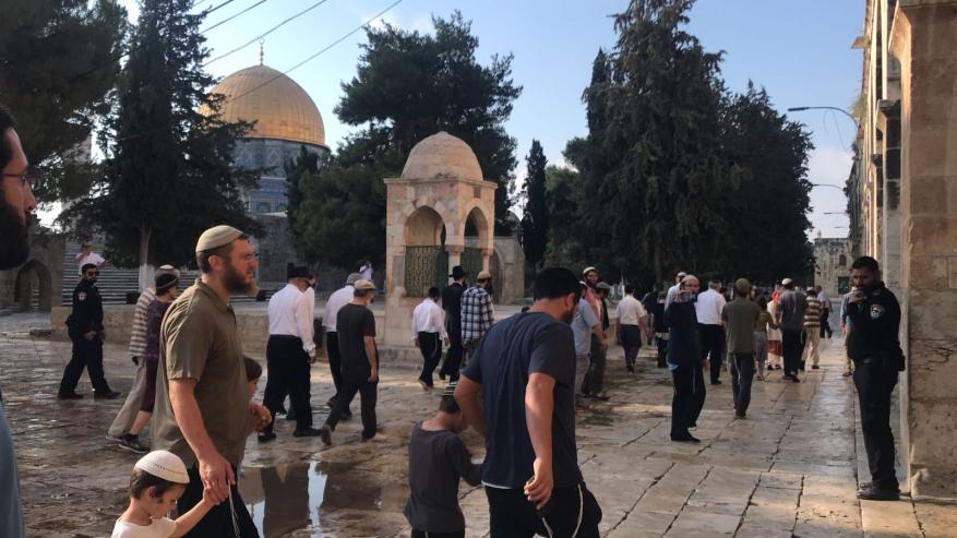 الإفتاء: الزيارات التطبيعية للمسجد الأقصى لا تختلف عن اقتحامات المستوطنين