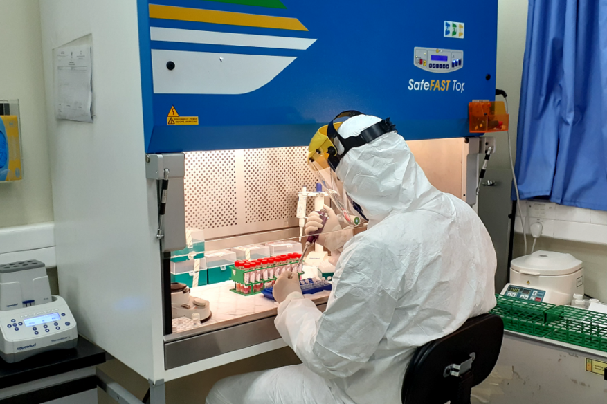 فلسطين.. 13 وفاة و491 إصابة كورونا جديدة و2005 حالات تعاف