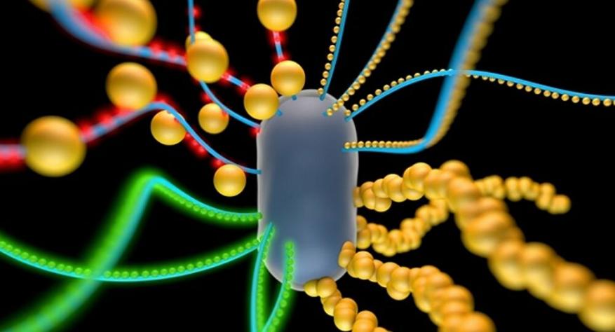 غير كورونا... مرض قاتل جديد يهدد البشرية