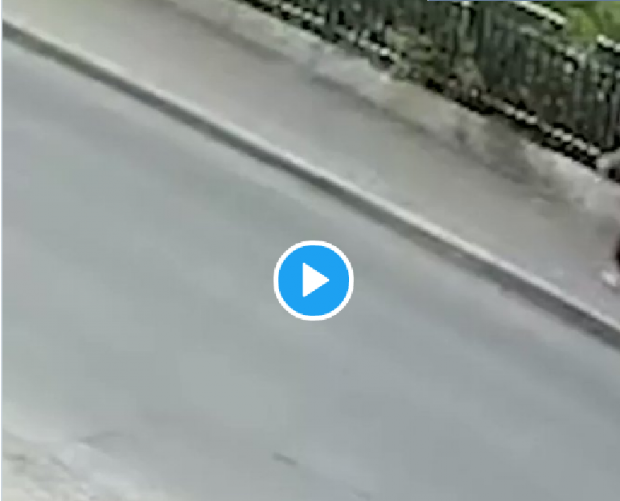 لحظة انهيار جسر معلق بمن فوقه