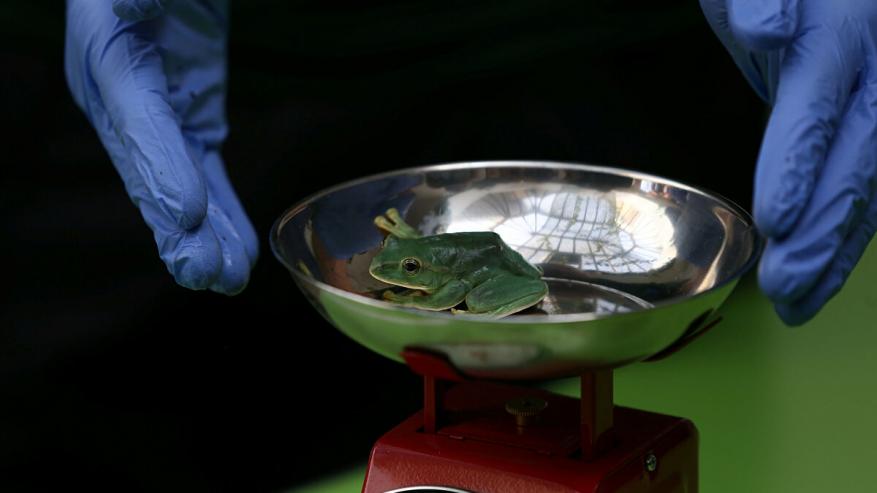 "وضع حرج"... علماء يحذرون من وباء خطير