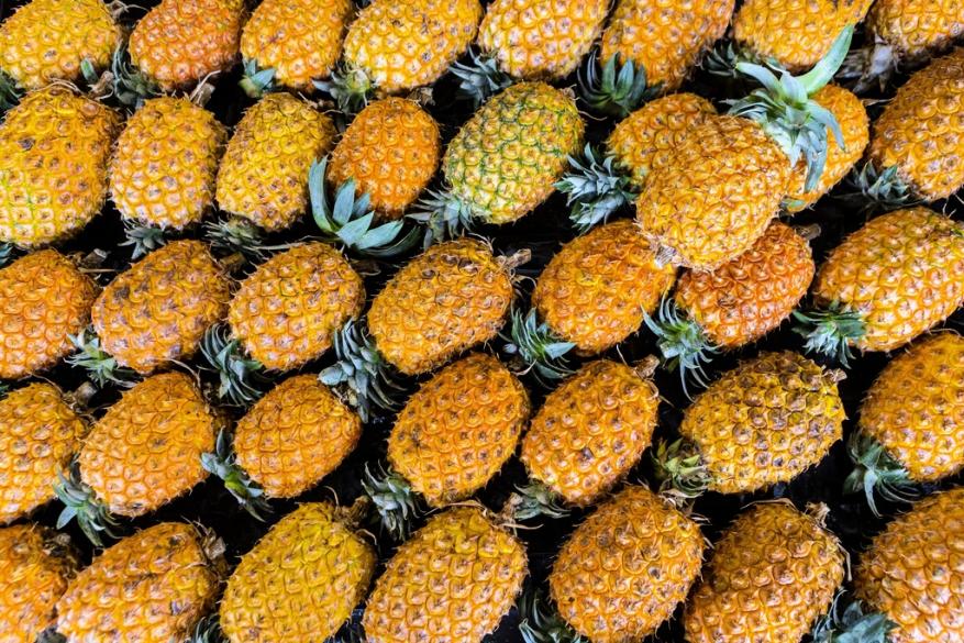 ضبط كوكايين بثلاثة أرباع مليار دولار في "براميل أناناس"