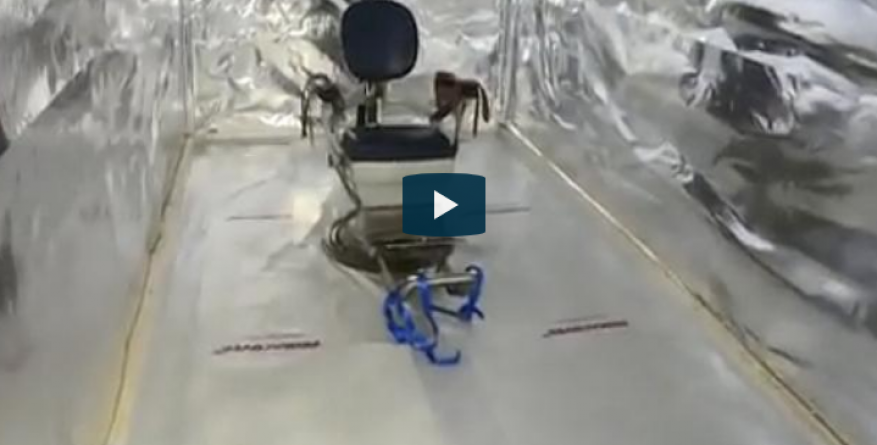 شاهد اكتشافُ زنازين وغرفة للتعذيب أثناء تفكيك شبكة إجرامية في هولندا