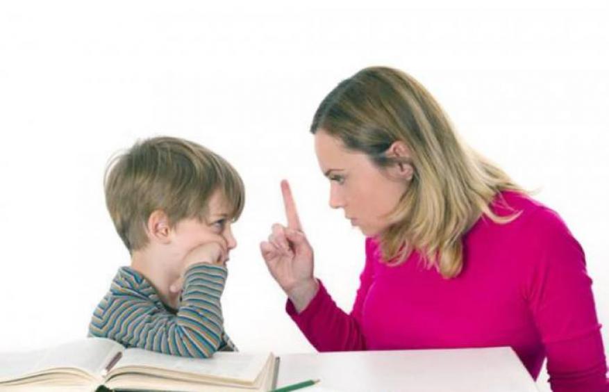 في دولة عربية.. سجن سيدة قالت لابنها "ادرس يا حمار"