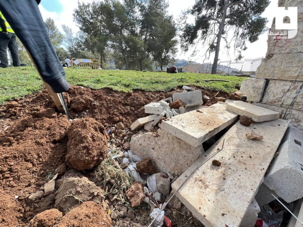 photo_٢٠٢١-١١-٠٣_١٠-٤٧-١٦ (2).jpg