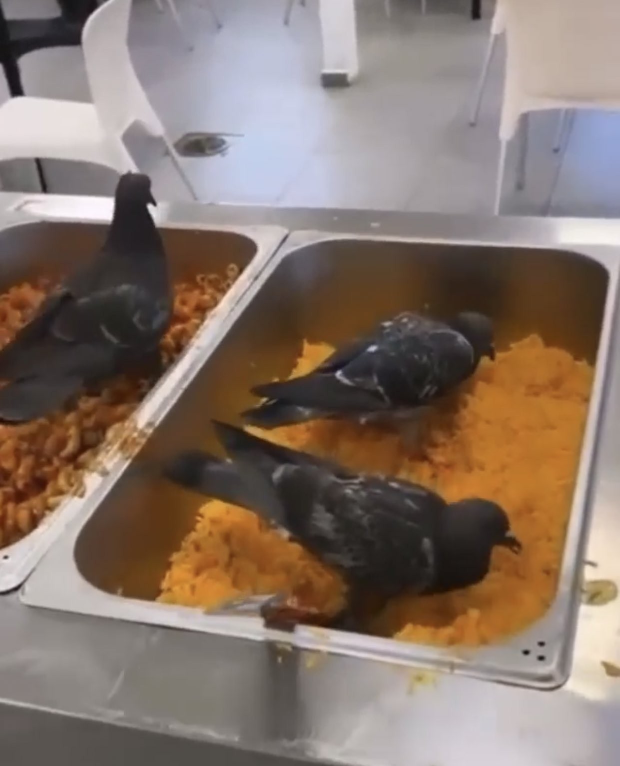 جودة طعام رديئة في قاعدة عسكرية إسرائيلية 