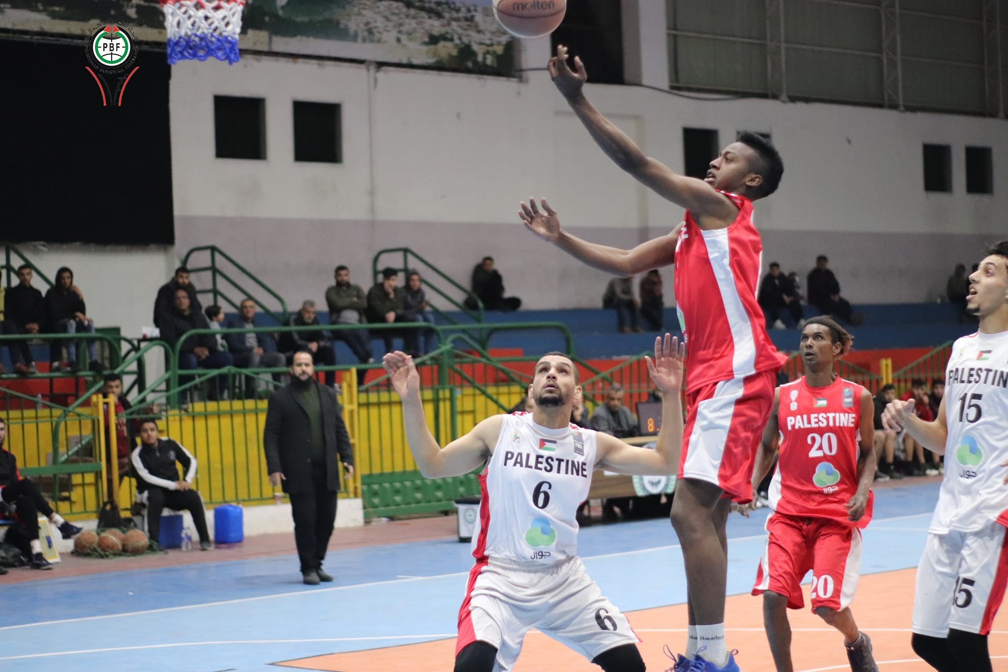 دوري السلة.jpg