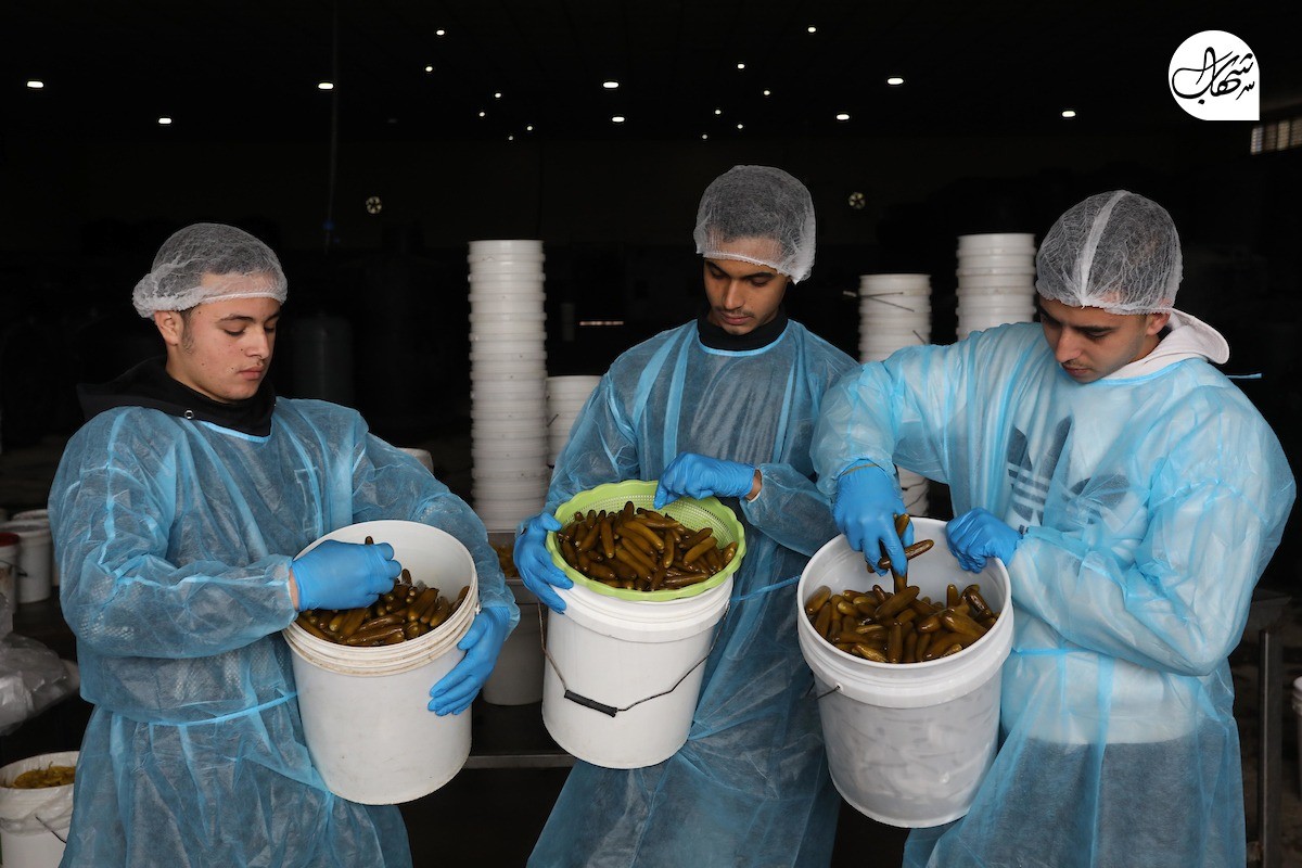 المخللات (3).jpg