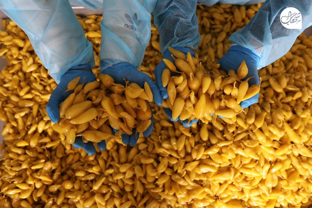 المخللات (9).jpg