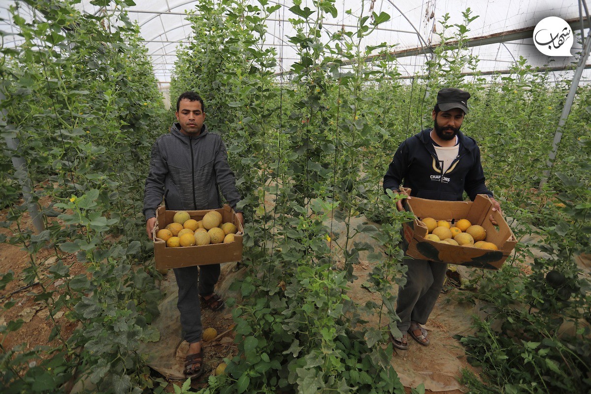 WhatsApp Image 2022-04-19 at 2.04.53 PM (2).jpeg