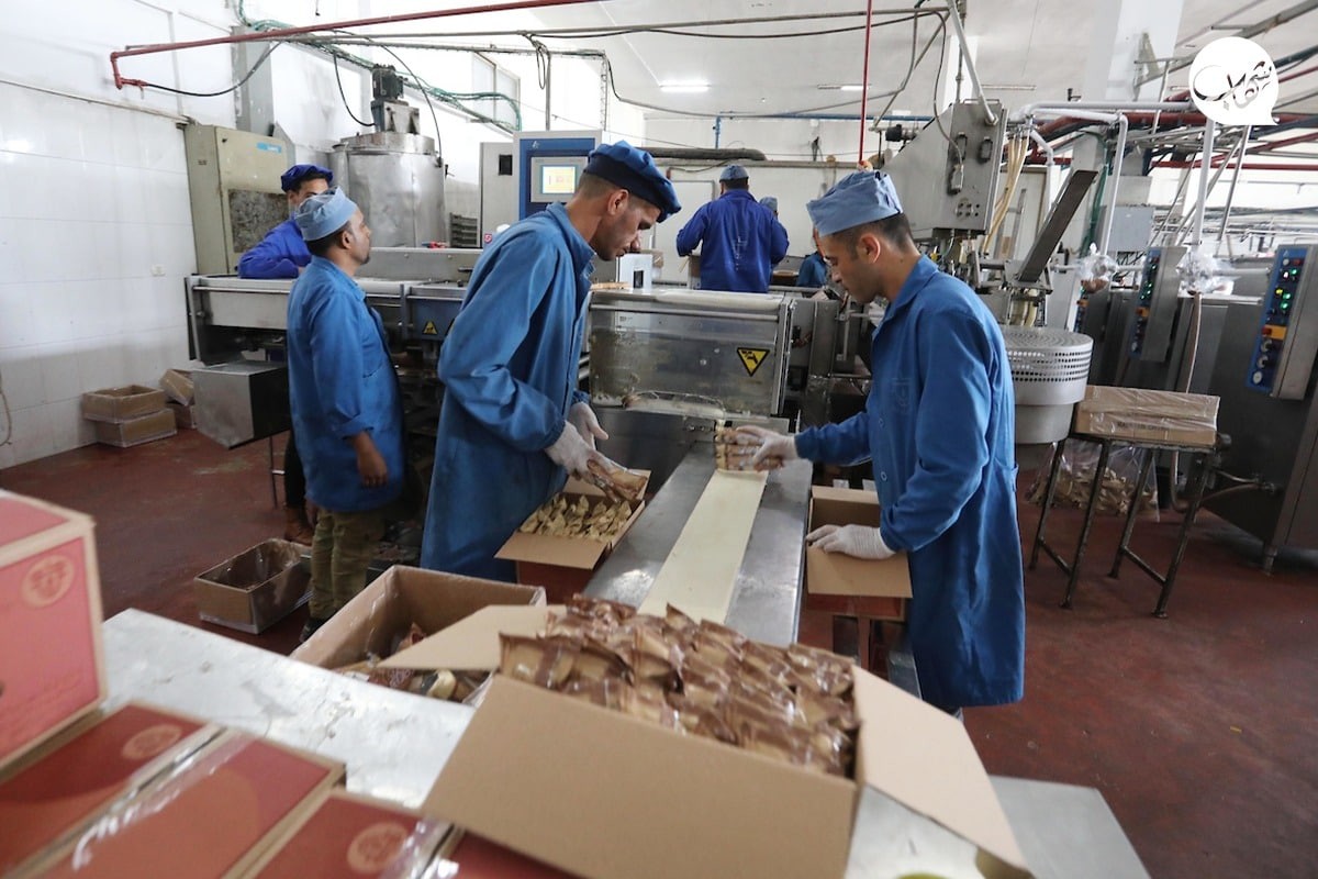 المثلجات في غزة (3).jpg