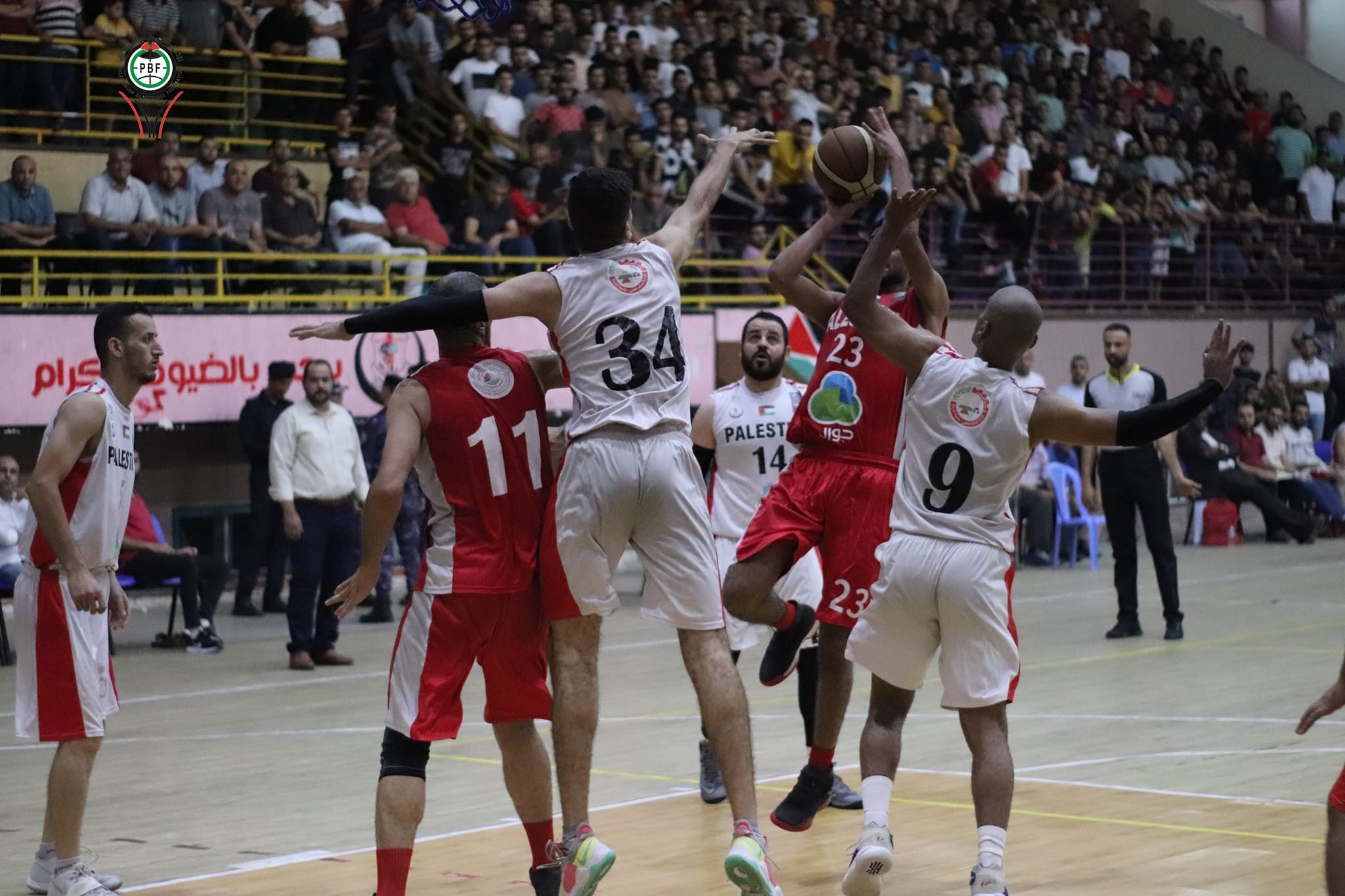 دوري السلة 5.jpg