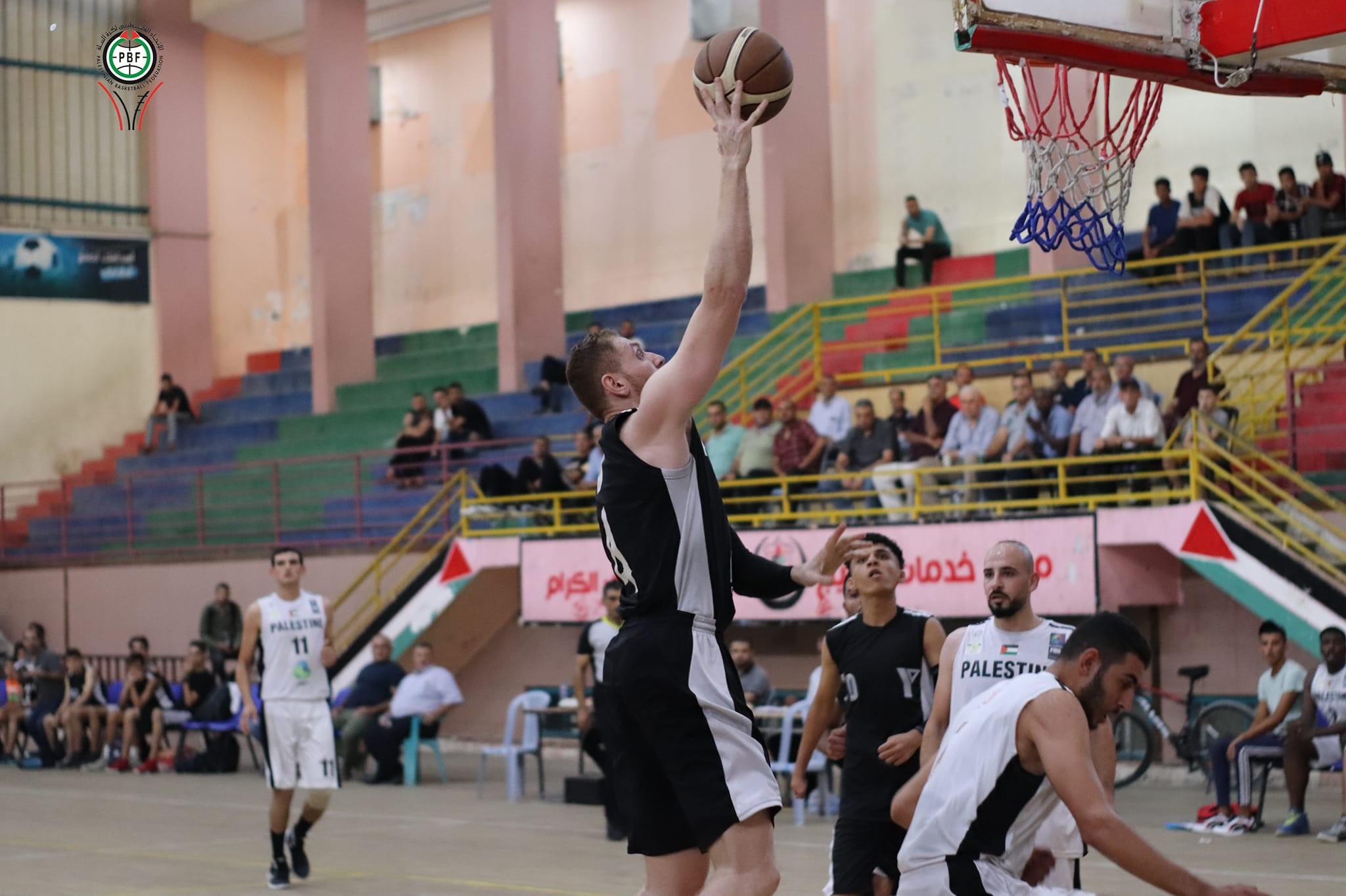 دوري السلة.jpg