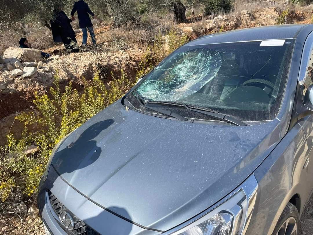 photo_٢٠٢٢-١٠-٢٨_١٣-٣٢-١٩ (3).jpg