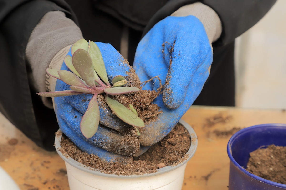 210223_GAZA_YW_2_00 (26).jpg