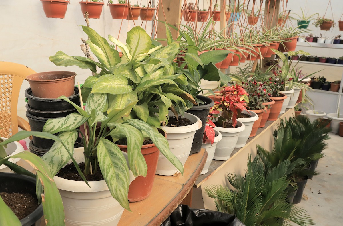 210223_GAZA_YW_2_00 (6).jpg