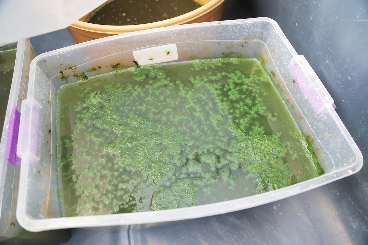 150223_GAZA_BS_00 (5).JPG