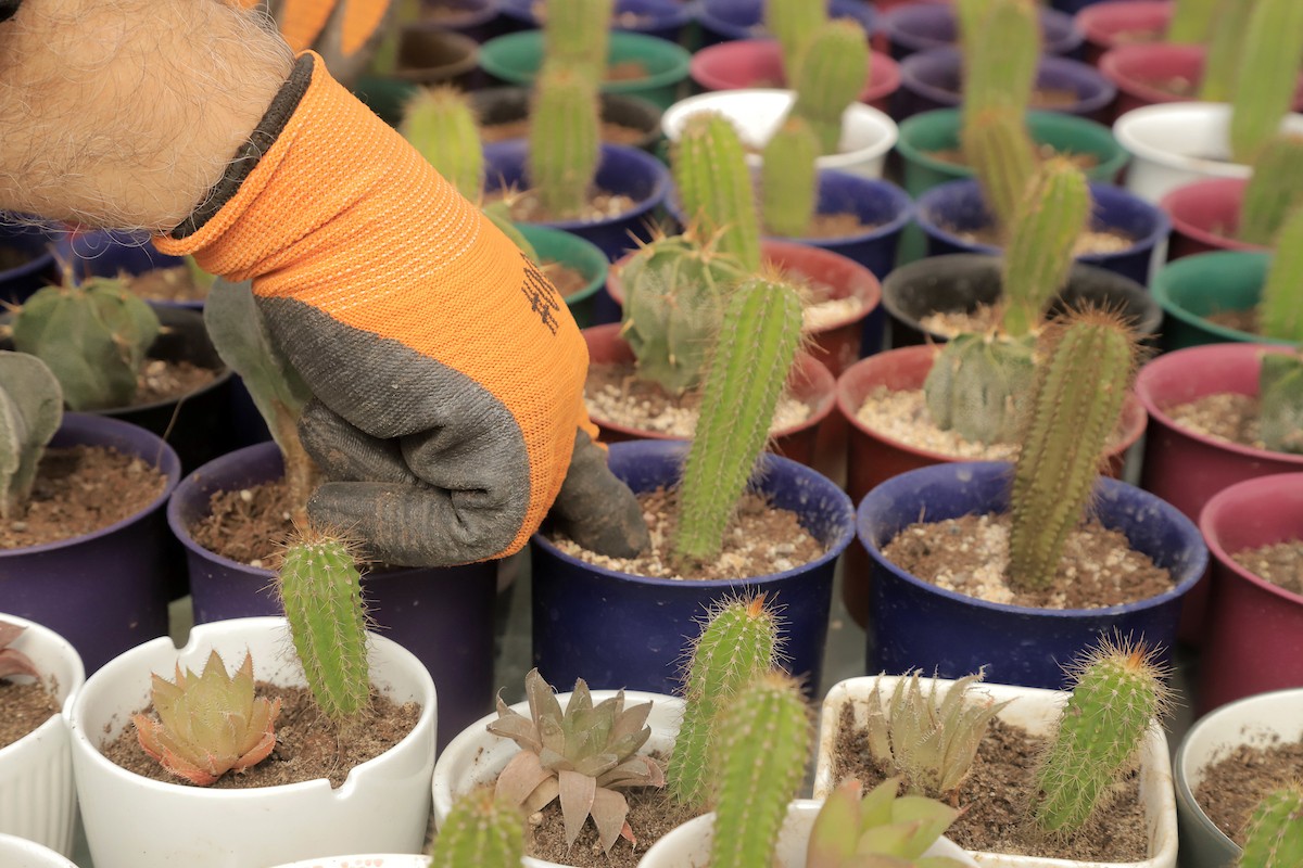 210223_GAZA_YW_2_00 (18).jpg