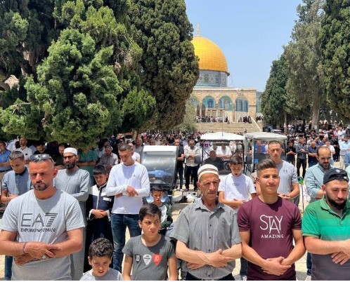 28419b7a-3de3-41b5-b7a0-3ba04cc94bb9.jfif