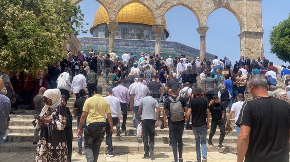 244b0643-a62c-4c05-bbf7-e0a3d712de29 (1).jfif