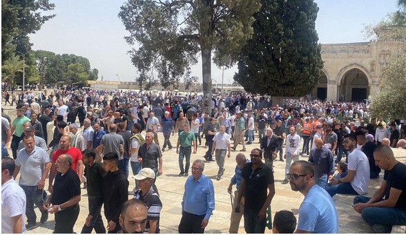 e90c5ac2-d514-4e03-912a-6d44a11674f4.jfif