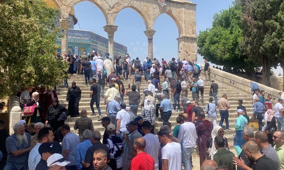 2995e533-ee28-4d5c-96fe-31fb6a3d45a4.jfif