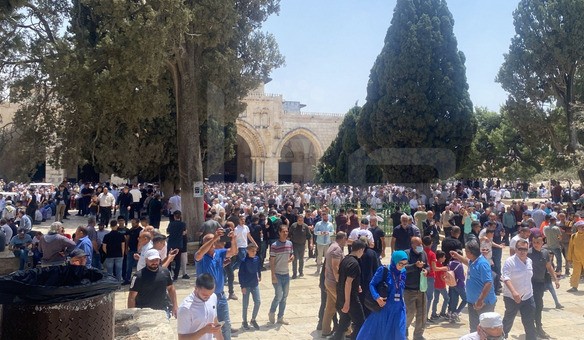 922a18cb-5436-473a-a577-3b21b53da0a1.jfif