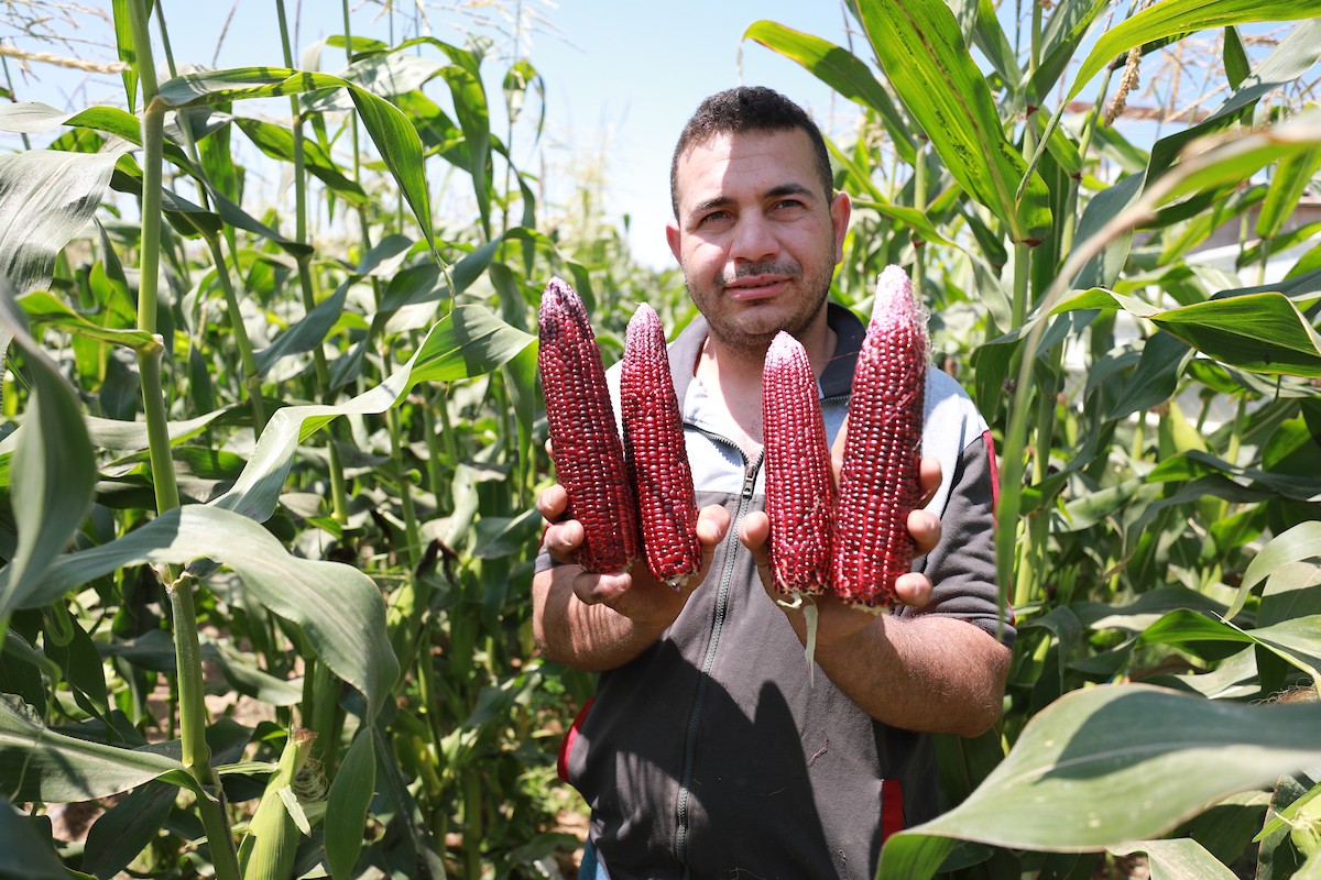 180623_GAZA_AD_00 (35).JPG