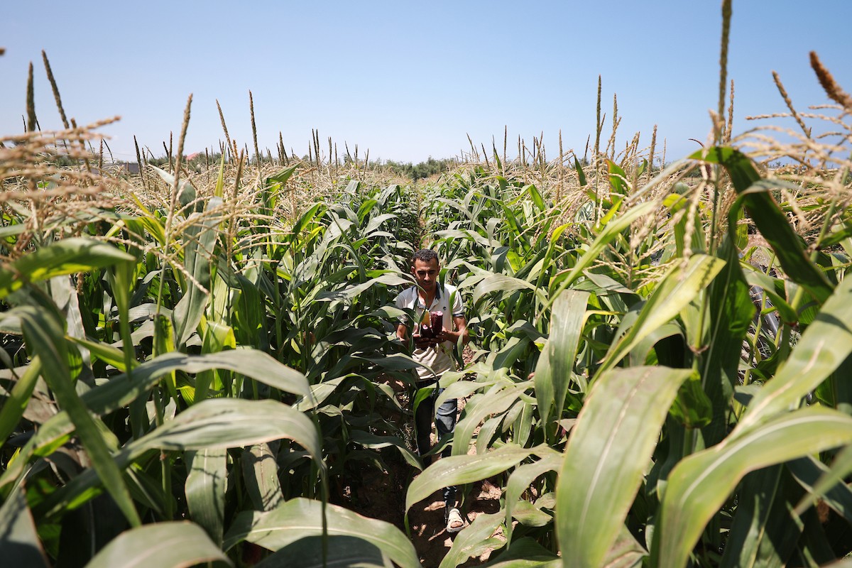 180623_GAZA_AD_00 (45).jpg