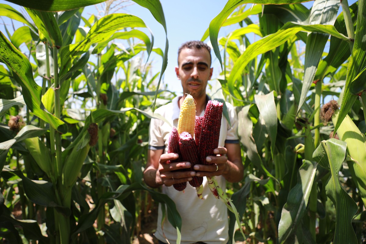 180623_GAZA_AD_00 (46).JPG