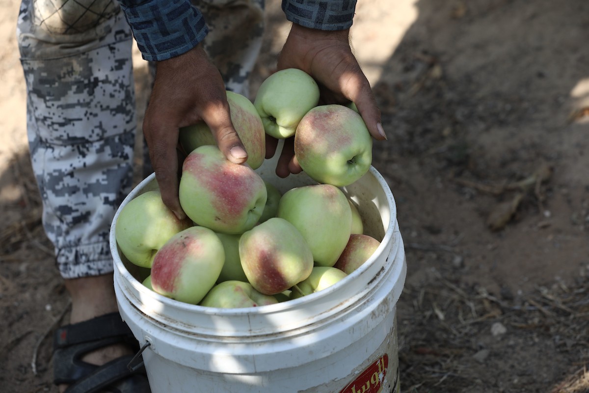 130723_GAZA_OSH_00 (11).jpg