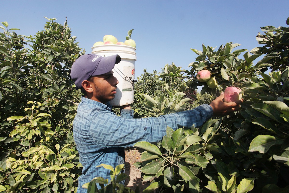 130723_GAZA_OSH_00 (32).jpg