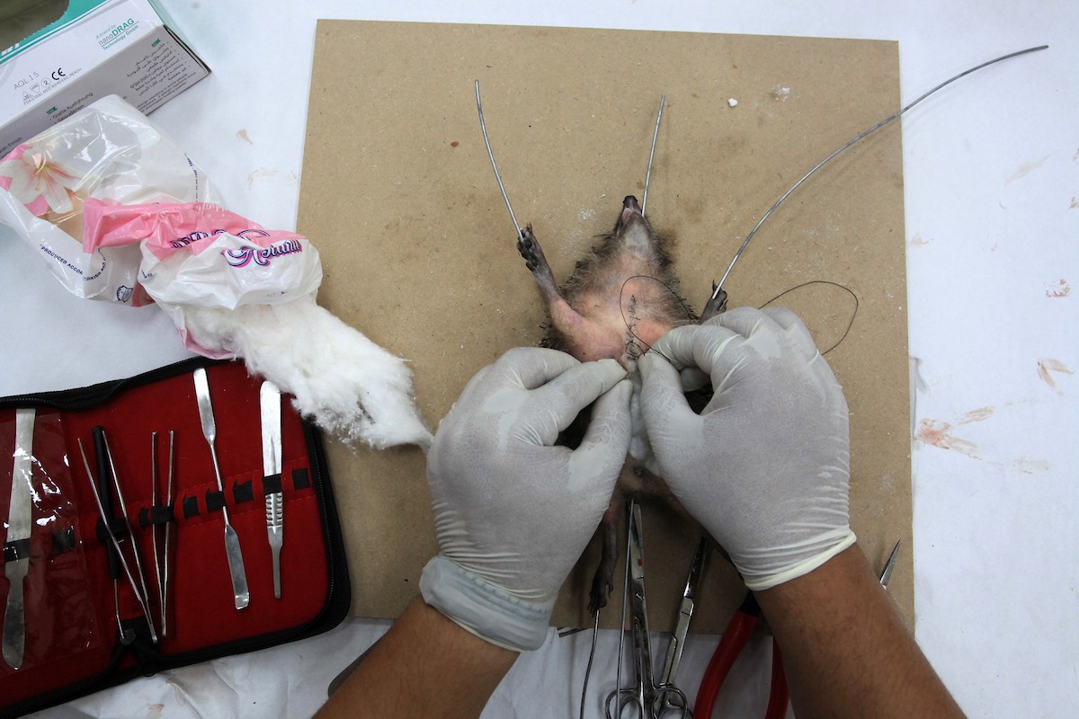 230723_GAZA_OSH_00 (15).jpg