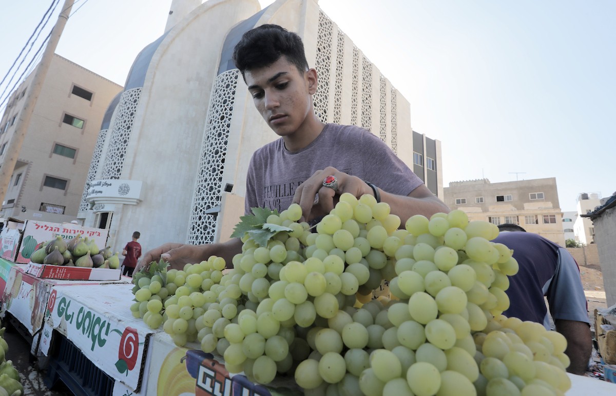 170723_GaZA_OSH_00 (23).jpg