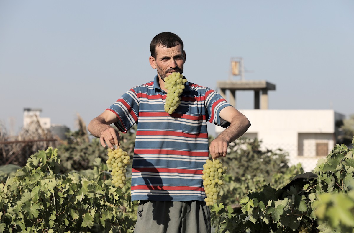 170723_GaZA_OSH_00 (61).jpg