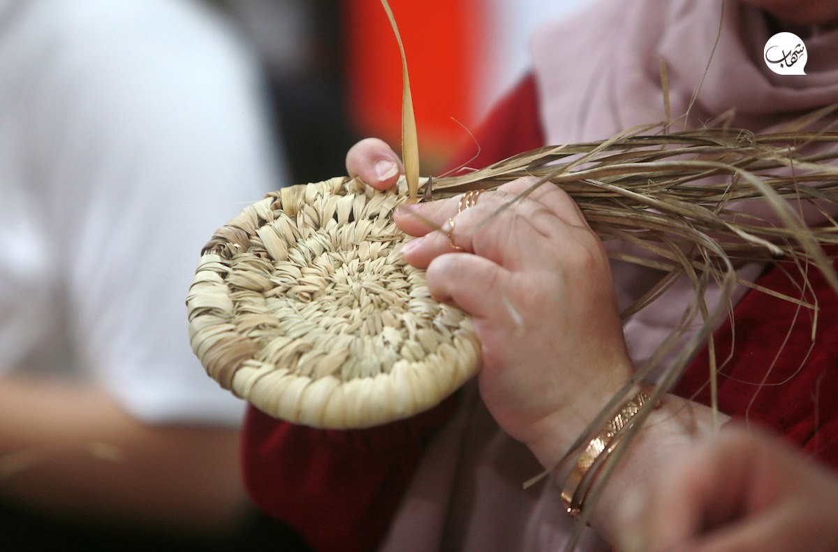 photo_٢٠٢٣-٠٧-٠٢_١١-٣٤-٠٦ (4).jpg