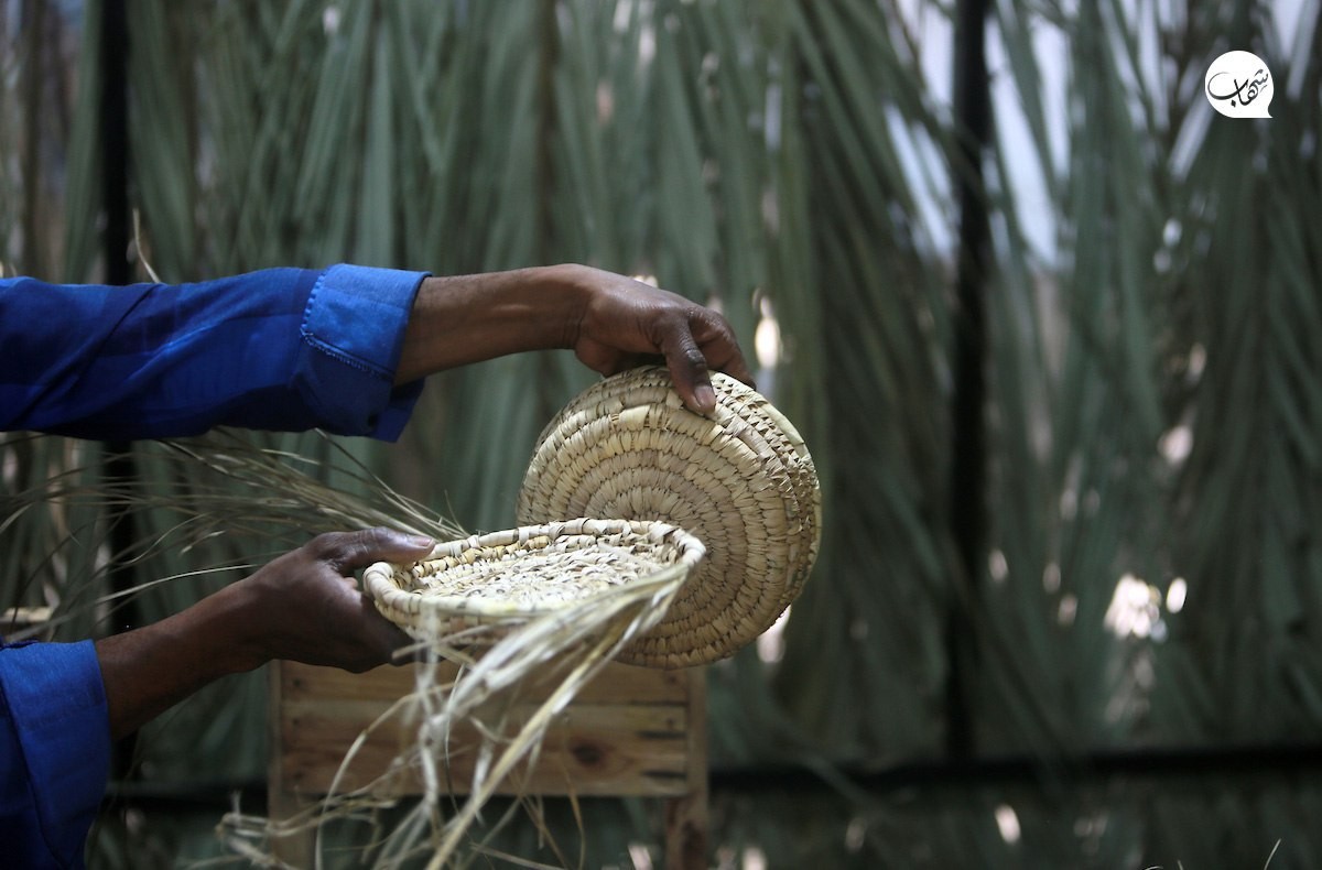 photo_٢٠٢٣-٠٧-٠٢_١١-٣٤-٠٦ (2).jpg